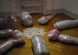 Muriel Décaillet, Le jardin sous vide, 2005 © Cédric Bregnard 